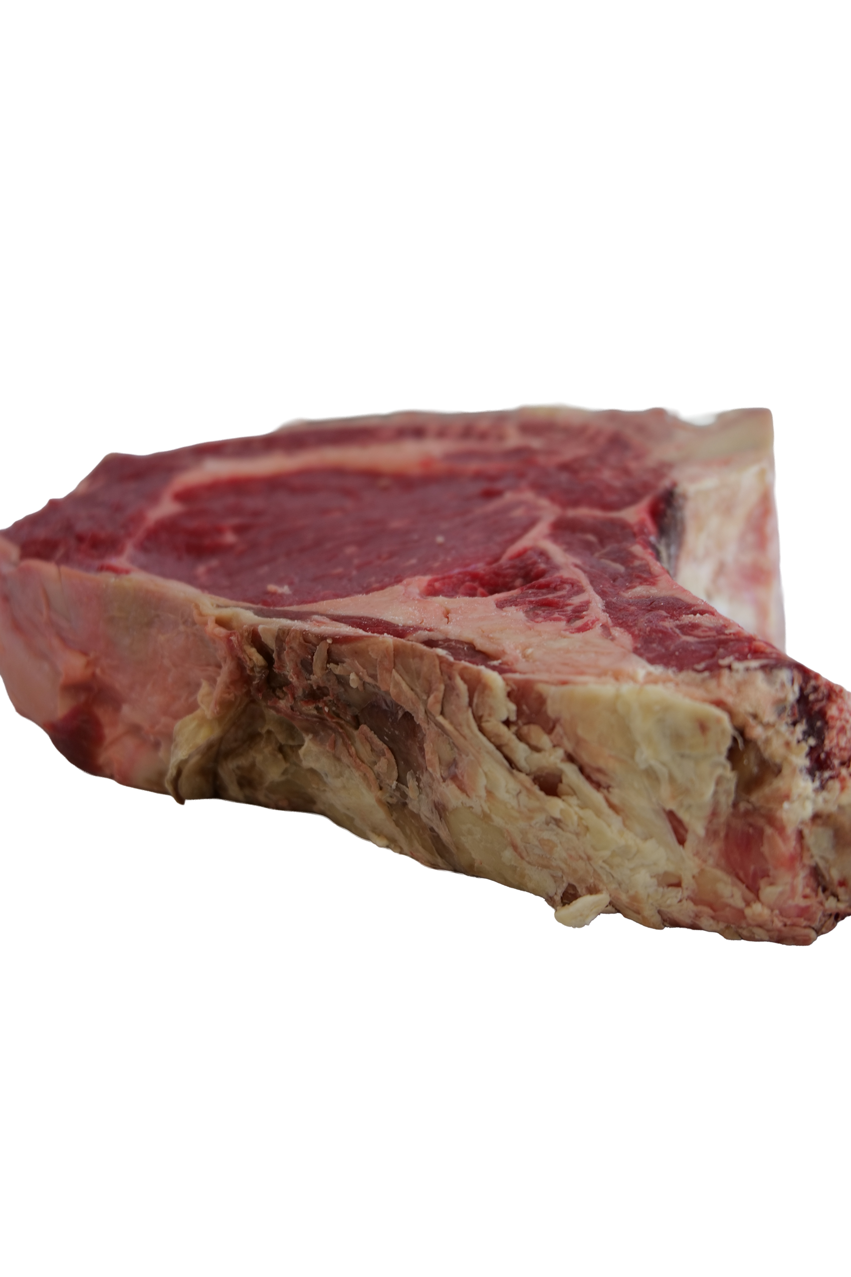 cote-de-boeuf-maturee-trois-semaine_P1090636 2